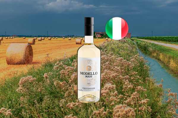 Masi Modello Bianco Trevenezie IGT 2023 - Thumbnail