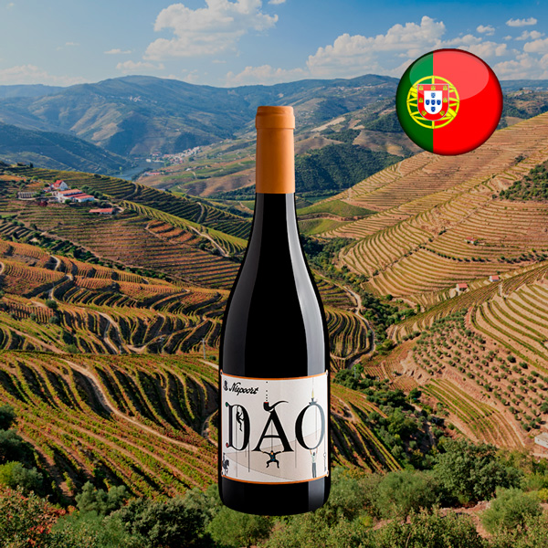 Niepoort Dão Tinto DOC 2020 - Oferta