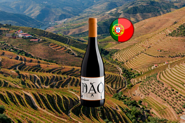 Niepoort Dão Tinto DOC 2020 - Thumbnail