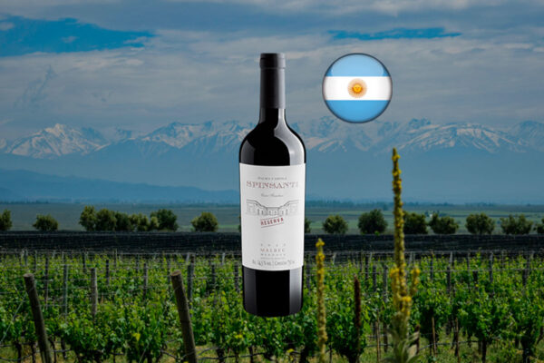 Palma Carola Spinsanti Malbec Reserva 2022 - Thumbnail