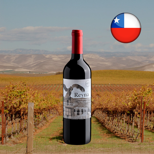 Reyna Cabernet Sauvignon Central Valley DO 2023 - Oferta