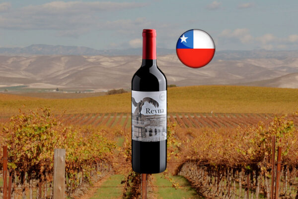 Reyna Cabernet Sauvignon Central Valley DO 2023 - Thumbnail
