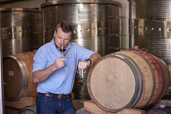 Siegel Los Lingues Carignan Terroir de Los Andes Single Block 38 2022 - Degustando