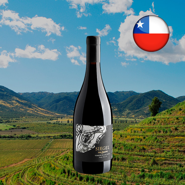 Siegel Los Lingues Carignan Terroir de Los Andes Single Block 38 2022 - Oferta