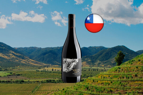 Siegel Los Lingues Carignan Terroir de Los Andes Single Block 38 2022 - Thumbnail
