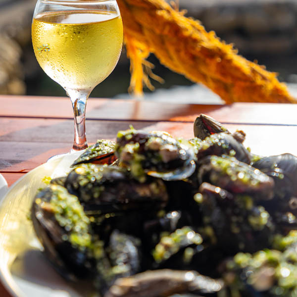 Viña de Los Andes White Blend 2024 - Harmonização