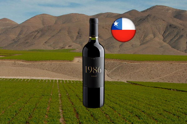 1986 Merlot 2023 - Thumbnail