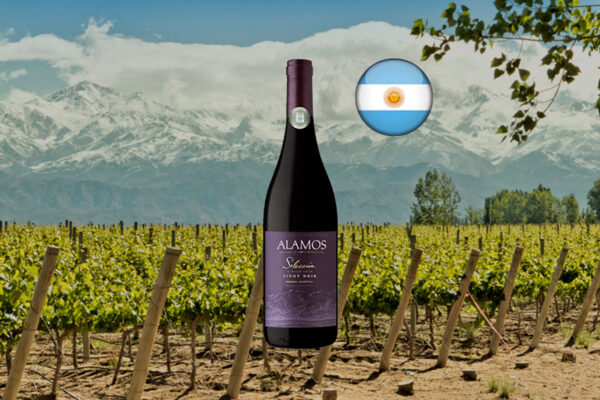 Alamos Selección Pinot Noir 2022 - Thumbnail