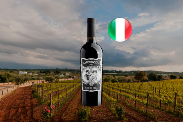Amoruccio Nero di Troia Puglia IGT 2023 - Thumbnail