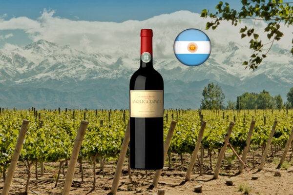 Angelica Zapata Cabernet Franc 2019 - Thumbnail