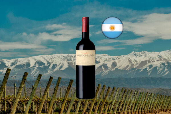 Angelica Zapata Cabernet Franc 2022 - Thumbnail