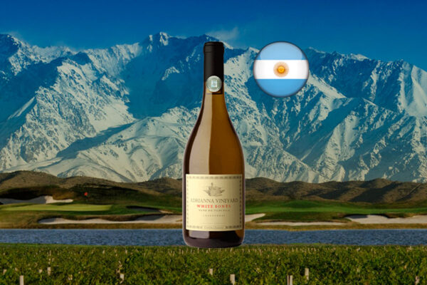 Catena Zapata Adrianna Chardonnay White Bones 2022 - Thumbnail