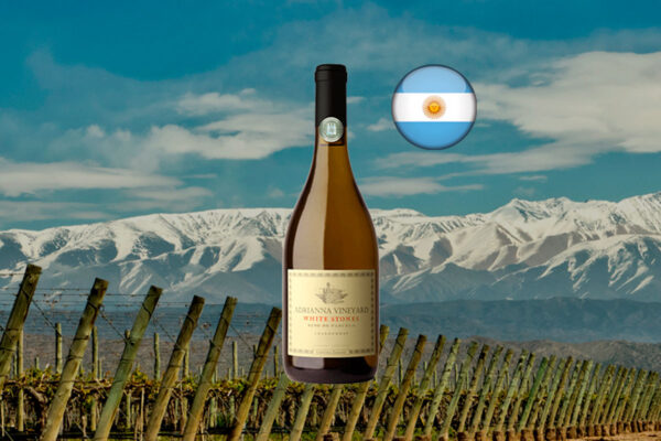 Catena Zapata Adrianna Chardonnay White Stones 2019 - Thumbnail