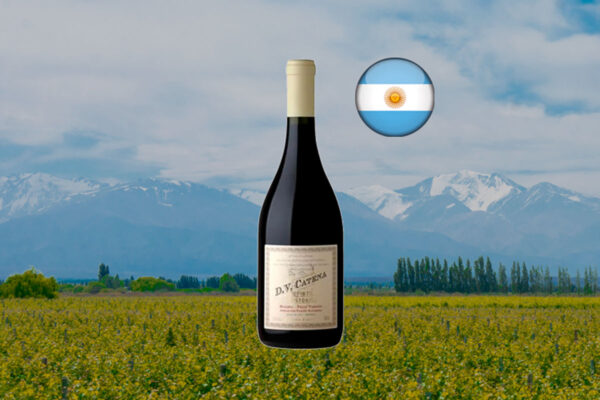 DV Catena Histórico Malbec-Petit Verdot 2022 - Thumbnail