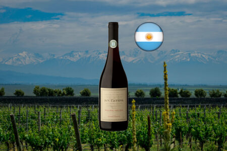 DV Catena Pinot Noir-Pinot Noir 2022 - Thumbnail