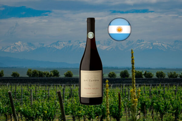 DV Catena Pinot Noir-Pinot Noir 2022 - Thumbnail