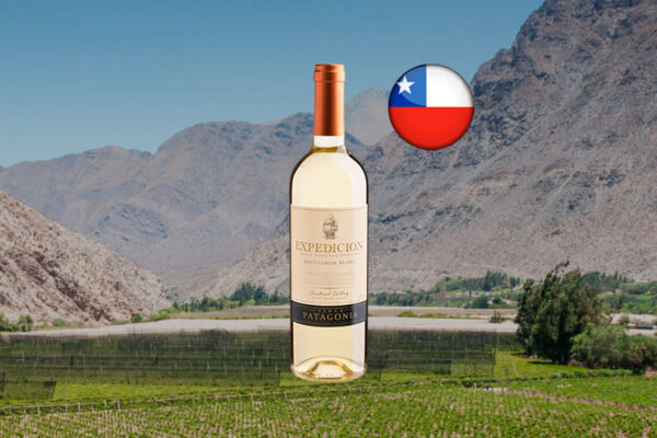 Expedicion Single Vineyard Selection Sauvignon Blanc Central Valley DO 2024 - Thumbnail