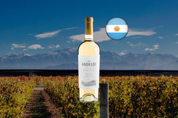 Finca Andrade White Blend 2024 - Thumbnail