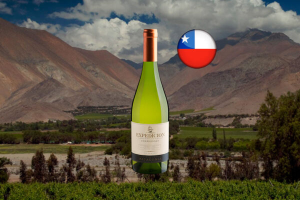 Finca Patagonia Expedicion Single Vineyard Selection Chardonnay Central Valley DO 2024 - Thumbnail