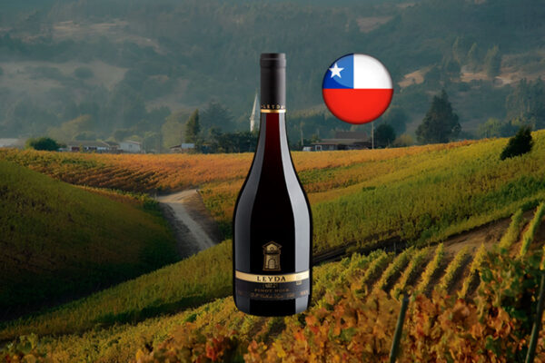 Leyda Lot 21 Pinot Noir Valle de Leyda DO 2019 - Thumbnail