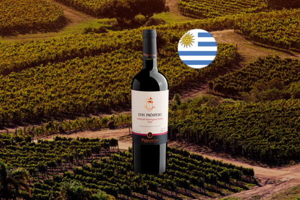 Pizzorno Don Prospero Cabernet Sauvignon 2021 - Thumbnail
