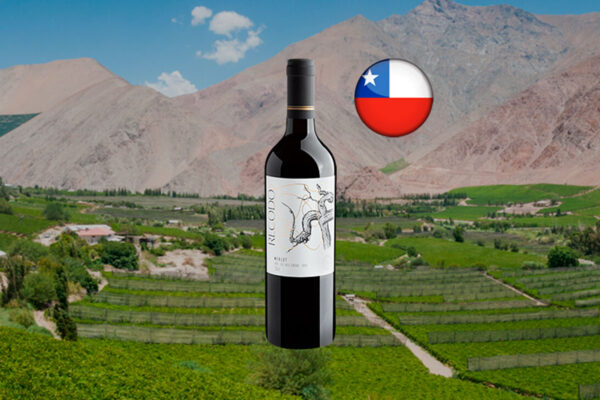 Recodo Merlot Valle Central DO 2023 - Thumbnail