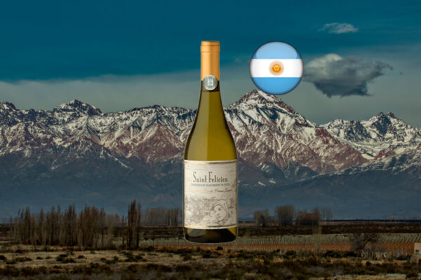 Saint Felicien Chardonnay 2022 - Thumbnail
