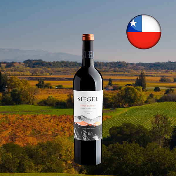 Siegel Gran Reserva Carménère Valle de Colchagua DO 2022 - Oferta