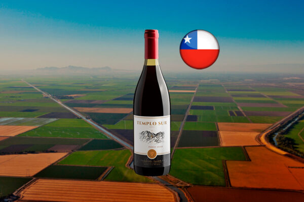 Templo Sur Limited Series Pinot Noir 2024 - Thumbnail
