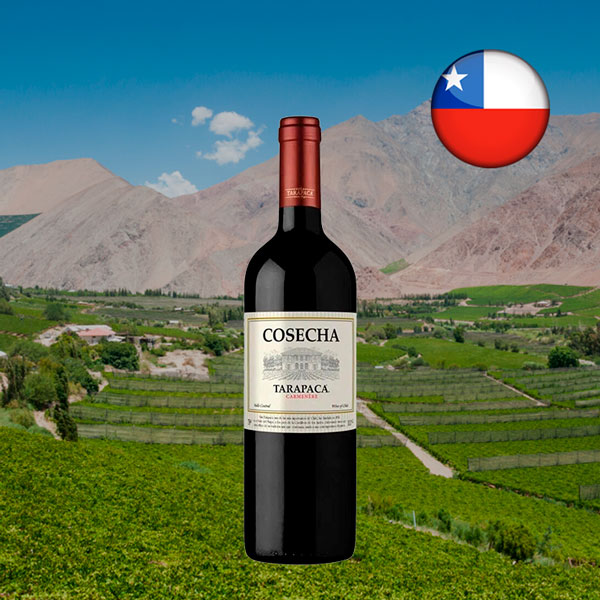 Cosecha Tarapacá Carmenére - Oferta