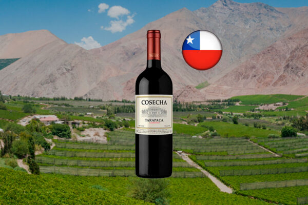 Cosecha Tarapacá Carmenére - Thumbnail