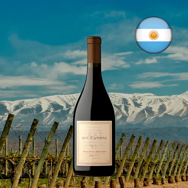 DV Catena Pinot Noir-Pinot Noir 2023 - Oferta