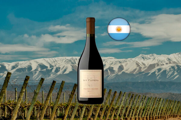 DV Catena Pinot Noir-Pinot Noir 2023 - Thumbnail