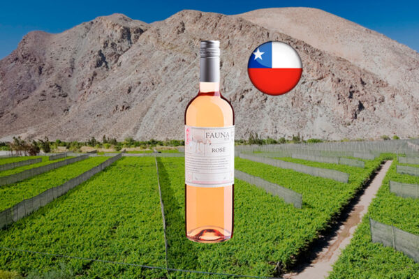 Fauna Sur Rosé Valle Central DO 2024 - Thumbnail