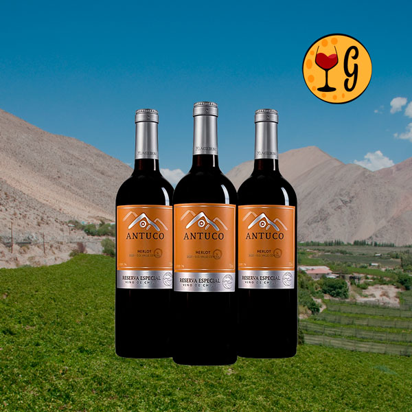 Kit 3 Garrafas Antuco Reserva Especial Merlot 2020 – Elegância e Sabor do Merlot Chileno em Dose Tripla - Oferta