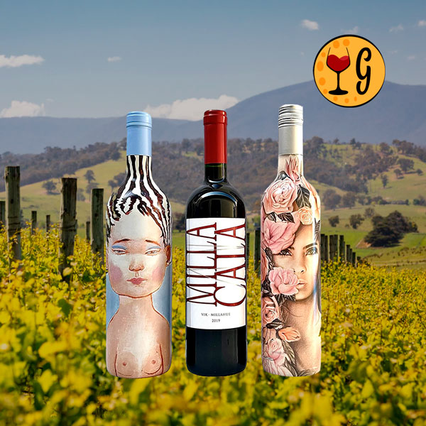 Kit 3 Vinhos Vik La Piu Belle & Milla Cala – Elegância e Arte Chilena em Três Rótulos - Oferta