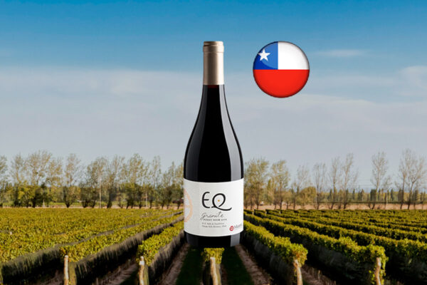 Matetic EQ Granite Pinot Noir Valle de Casablanca DO - Thumbnail