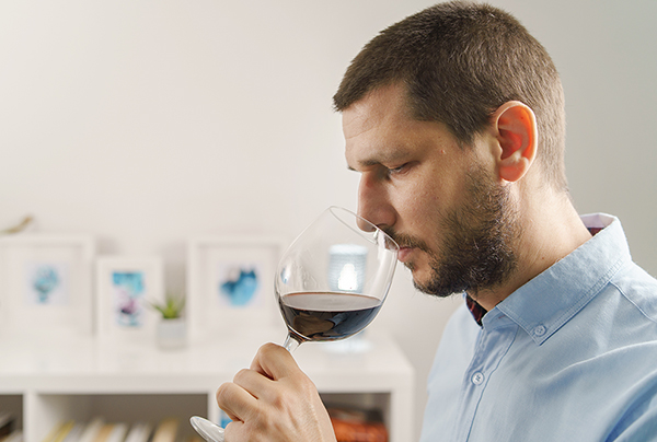 Vik O Leão Red Blend 2021 - Degustando