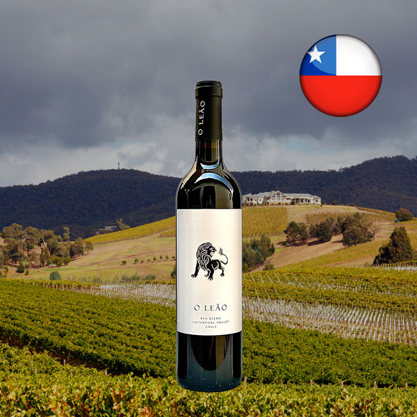 Vik O Leão Red Blend 2021 - Oferta