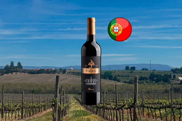 D. Manuel Reserva Beira Interior DOC 2021 Thumbnail