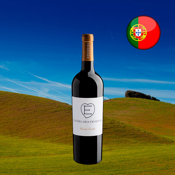 Ervideira Coudelaria Grande Escolha 2021 - Oferta