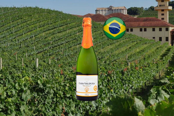 Espumante Casa Valduga Arte Brut - Thumbnail