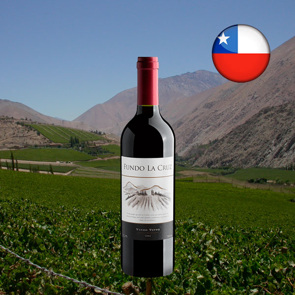 Fundo La Cruz Vinho Tinto - Oferta