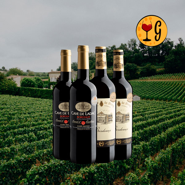 Kit 4 Bordeaux Premiados – Dois Tintos Franceses Medalhados em Dose Dupla a Preço Especial - Oferta