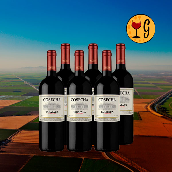 Kit 6 Garrafas Cosecha Tarapacá Carménère – Qualidade e Economia Multiplicadas por Seis - Oferta