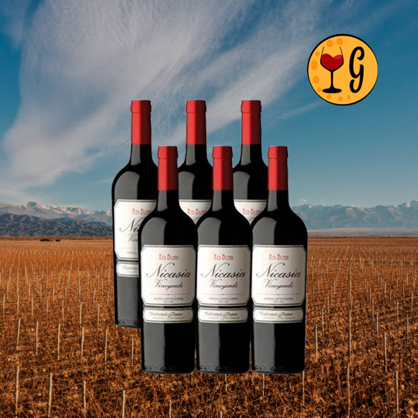 Kit 6 Garrafas Nicasia Vineyards Red Blend Cabernet Franc 2023 – Elegância do Vale do Uco em Dose Séxtupla  - Oferta