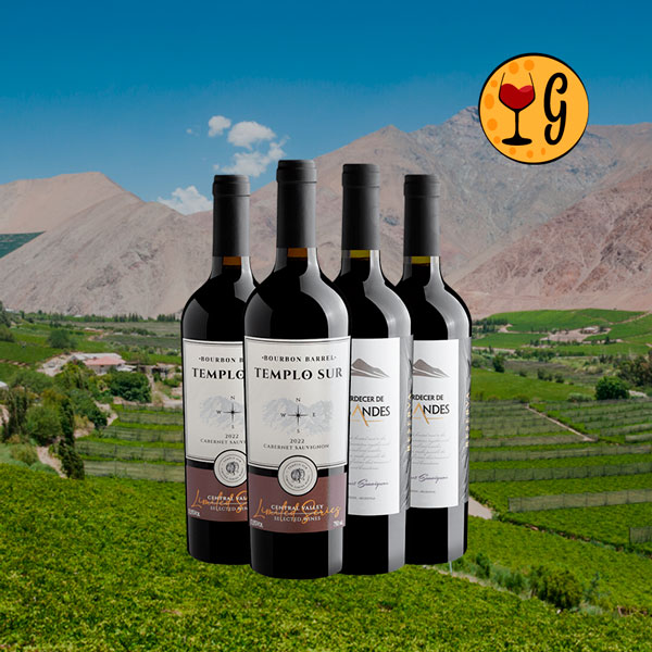 Kit Cabernets Notáveis do Novo Mundo 4 Vinhos Cabernet Sauvignon por R$ 69,90 cada – Análise Completa - Oferta