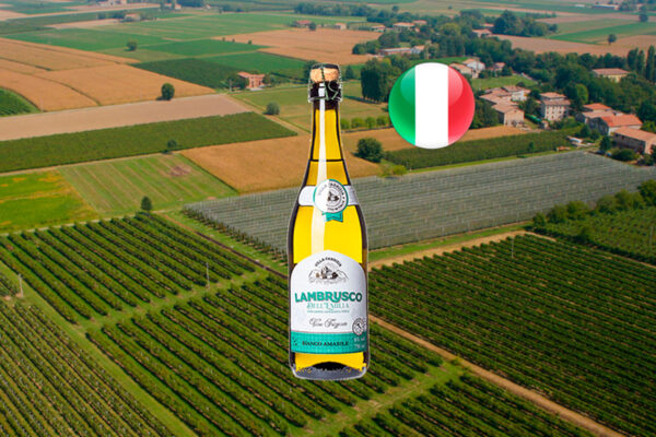 Lambrusco Dell Emilia Bianco Amabile - Thumbnail