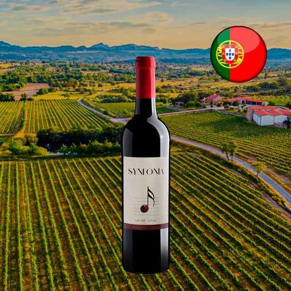 Synfonia Tinto - Oferta