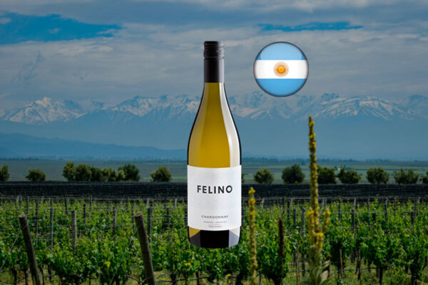 Viña Cobos Felino Chardonnay 2024 - Thumbnail